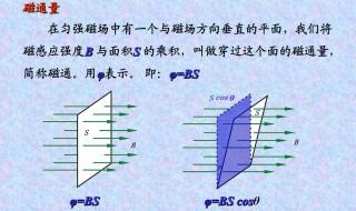 磁链是什么 磁链介绍