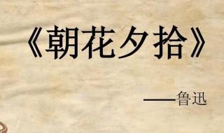 朝花夕拾内容简介 朝花夕拾内容简介是什么